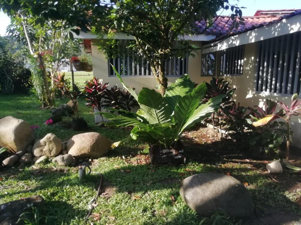 Casa Sophia 3 Listings Apartment 1 Or Apartment 2 Separately Or Apt 1 And 2 Together All With Fo Internet Guapiles Luaran gambar