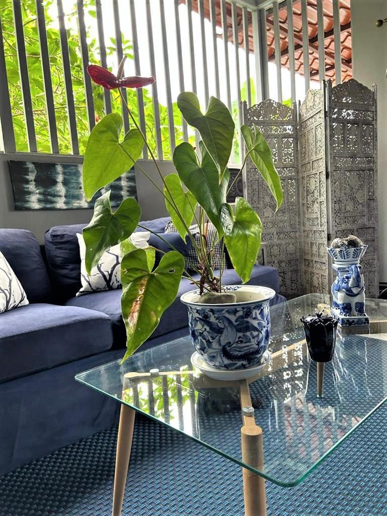 Casa Sophia 3 Listings Apartment 1 Or Apartment 2 Separately Or Apt 1 And 2 Together All With Fo Internet Guapiles Luaran gambar
