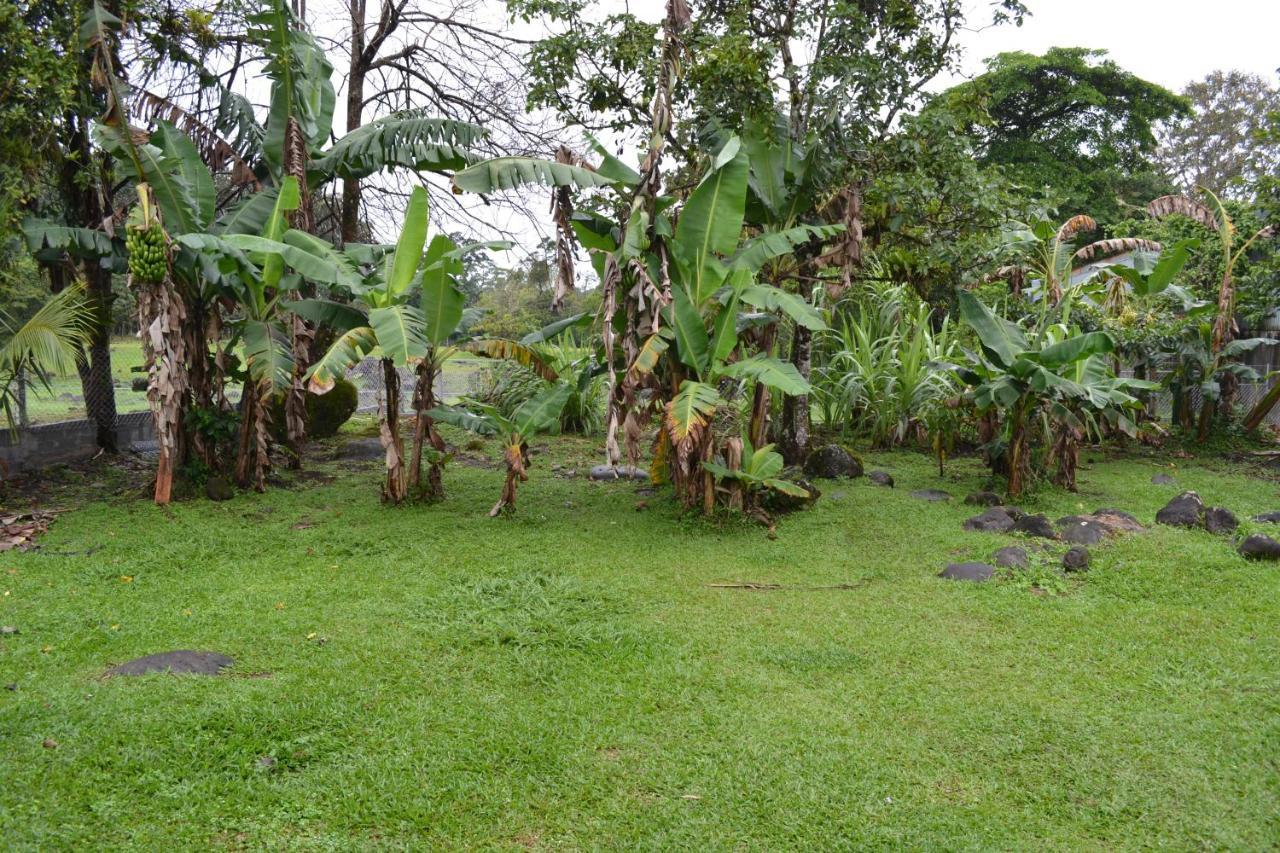 Casa Sophia 3 Listings Apartment 1 Or Apartment 2 Separately Or Apt 1 And 2 Together All With Fo Internet Guapiles Luaran gambar