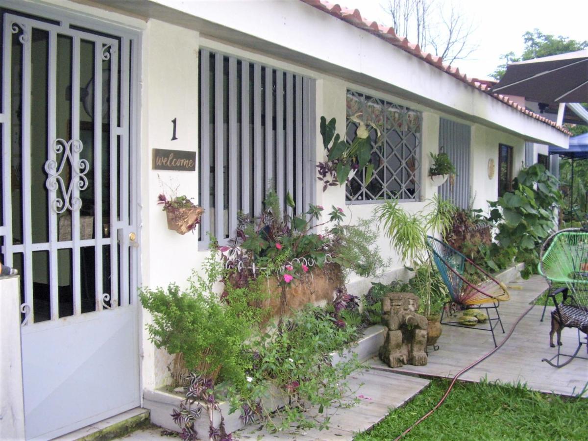 Casa Sophia 3 Listings Apartment 1 Or Apartment 2 Separately Or Apt 1 And 2 Together All With Fo Internet Guapiles Luaran gambar